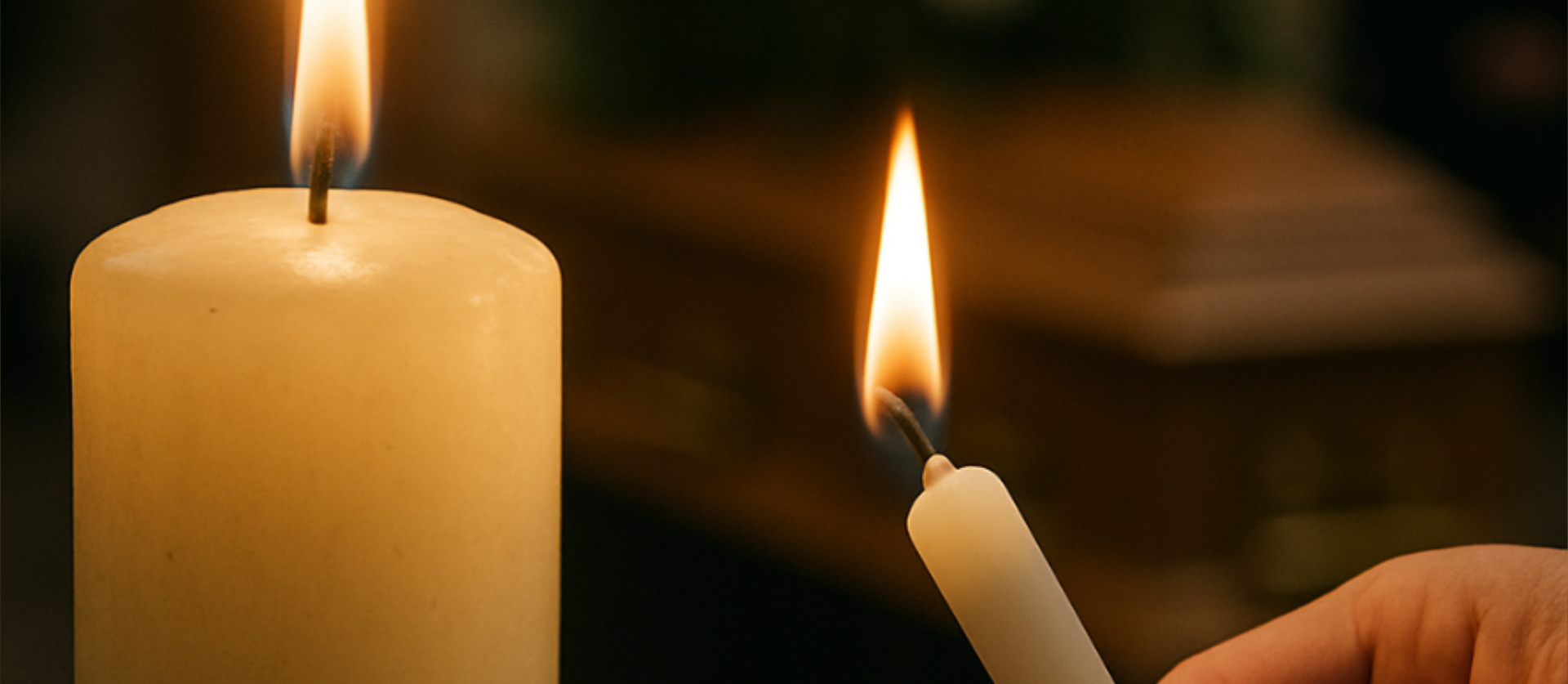 Two Little Birds Celebrancy Services